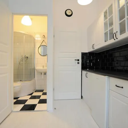 公寓 Bursztynek Apartament 索波特